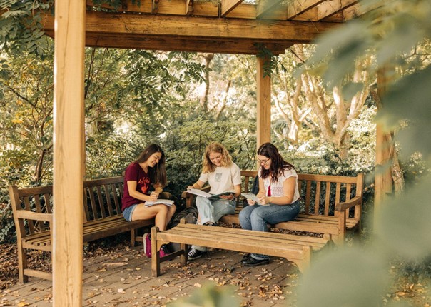 Start your journey as an agriculture and life science leader with Virginia Tech’s 100% online master’s program!